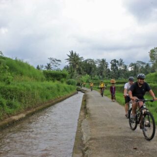 Kintamani to Ubud: A Scenic Mountain Bike Journey