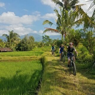 Sacred Springs & Rice Fields: Ubud - Tirta Empul MTB Tour